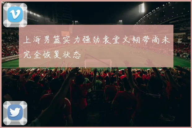 上海男篮实力强劲袁堂文韧带尚未完全恢复状态
