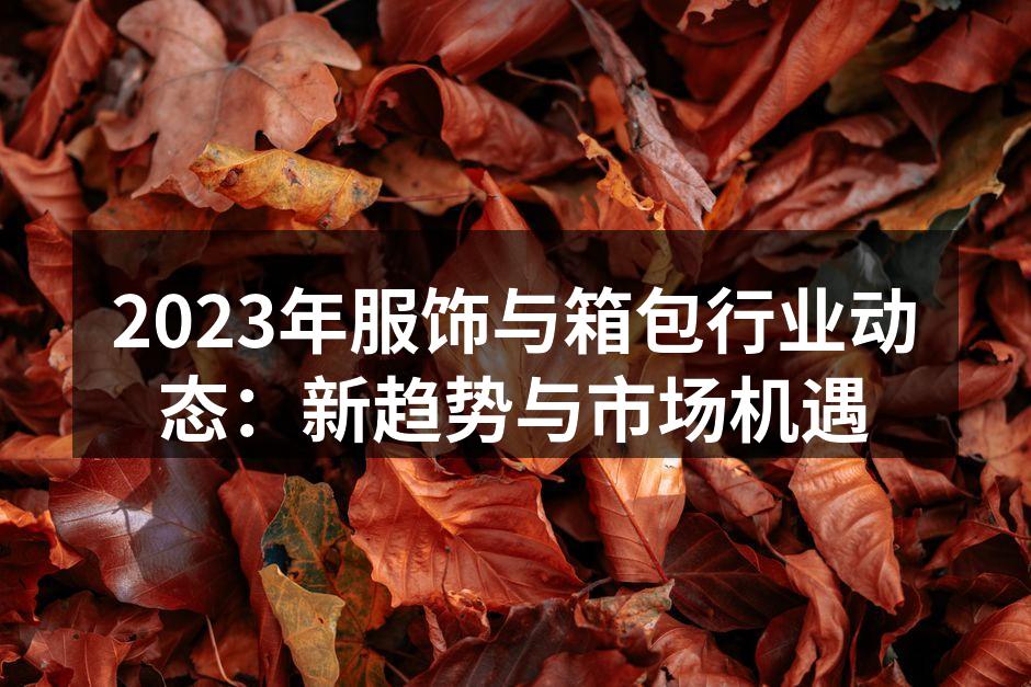 2023年服饰行业趋势分析