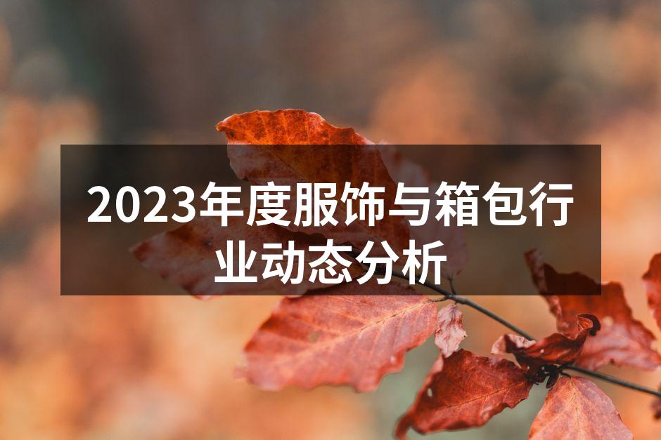 2023年服饰市场动态