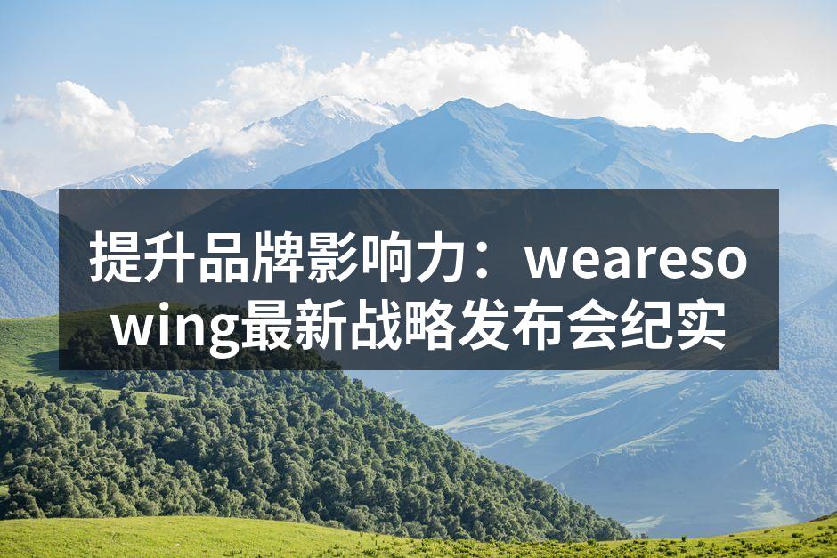 wearesowing战略发布会现场